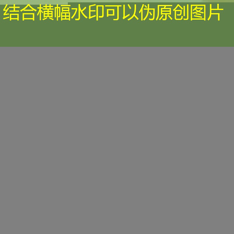 s14投注：能不能玩小程序赚钱的游戏