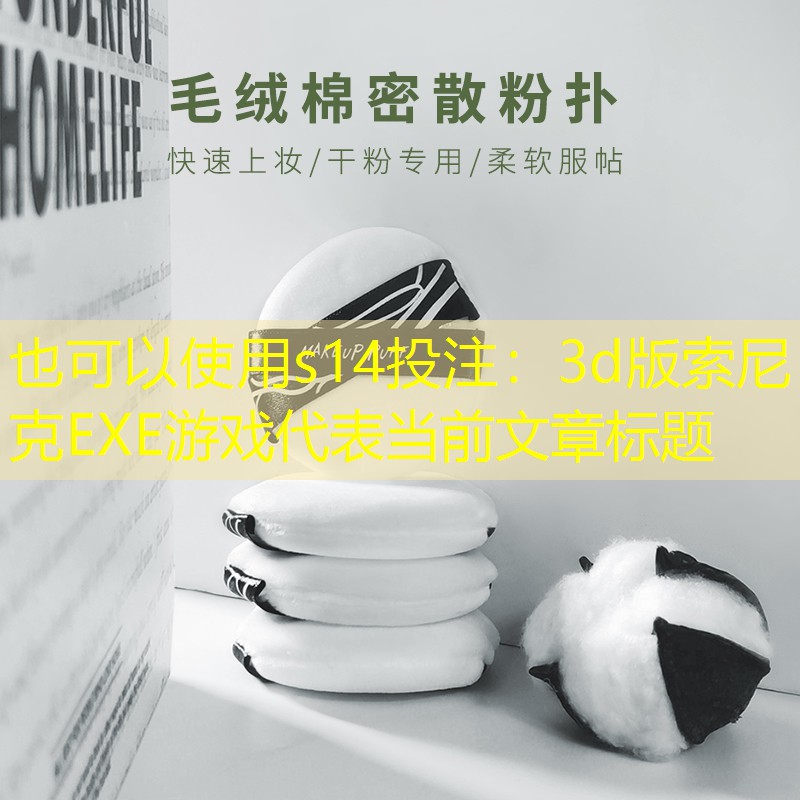3d版索尼克EXE游戏 3d版索尼克EXE游戏