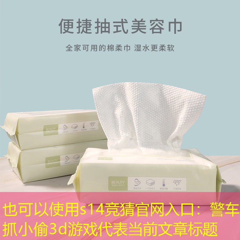 警车抓小偷3d游戏 警车抓小偷3d游戏